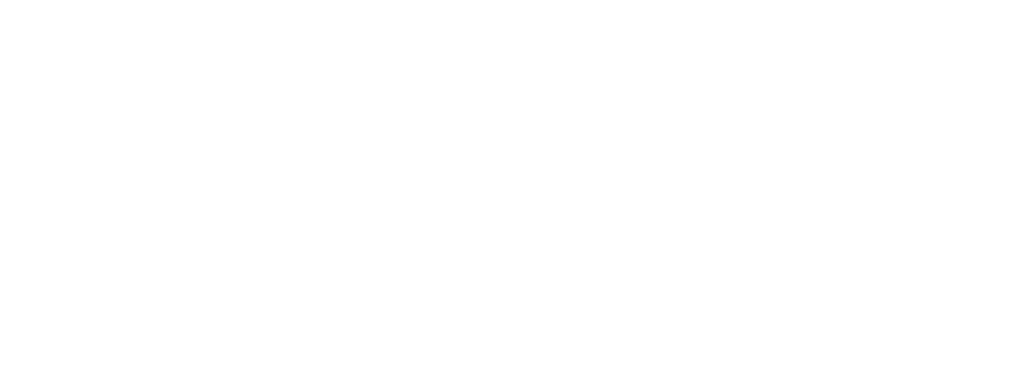 Logo GMV Branca